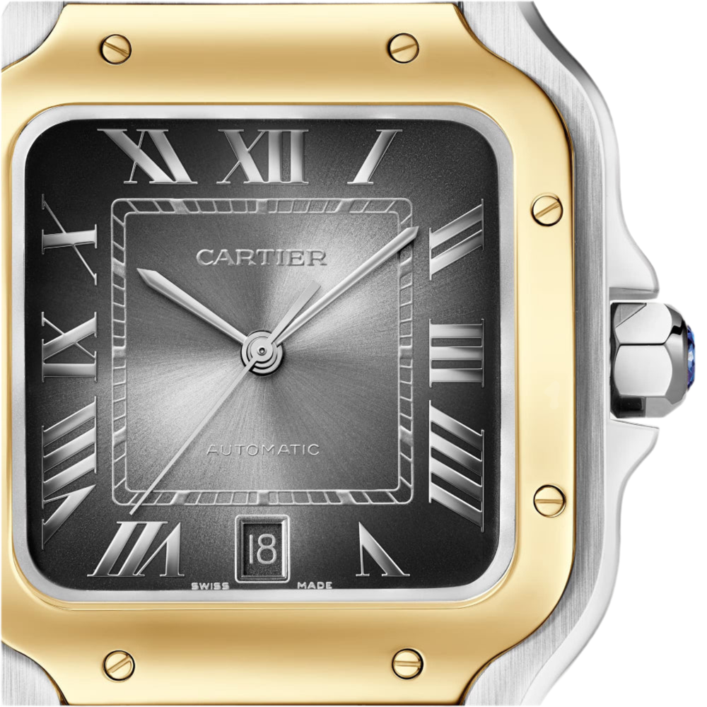 Cartier Santos De Cartier 43 mm + Orjinal Kutu