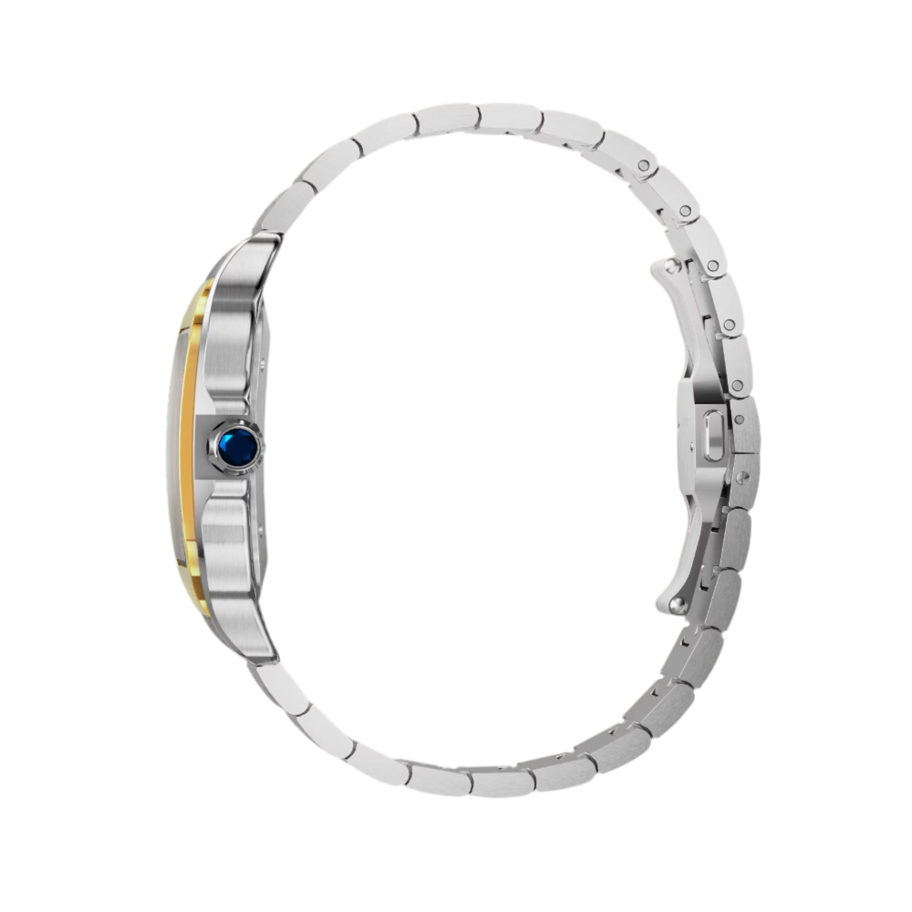 Cartier Santos De Cartier 43 mm + Orjinal Kutu